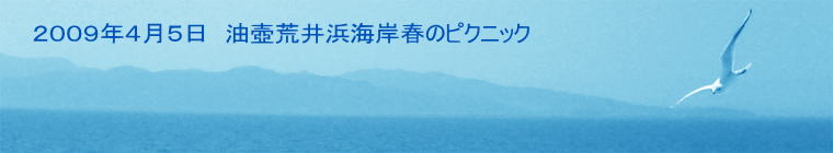 �Q�O�O�X�N�S���T���@����r��l�C�ݏt�̃s�N�j�b�N